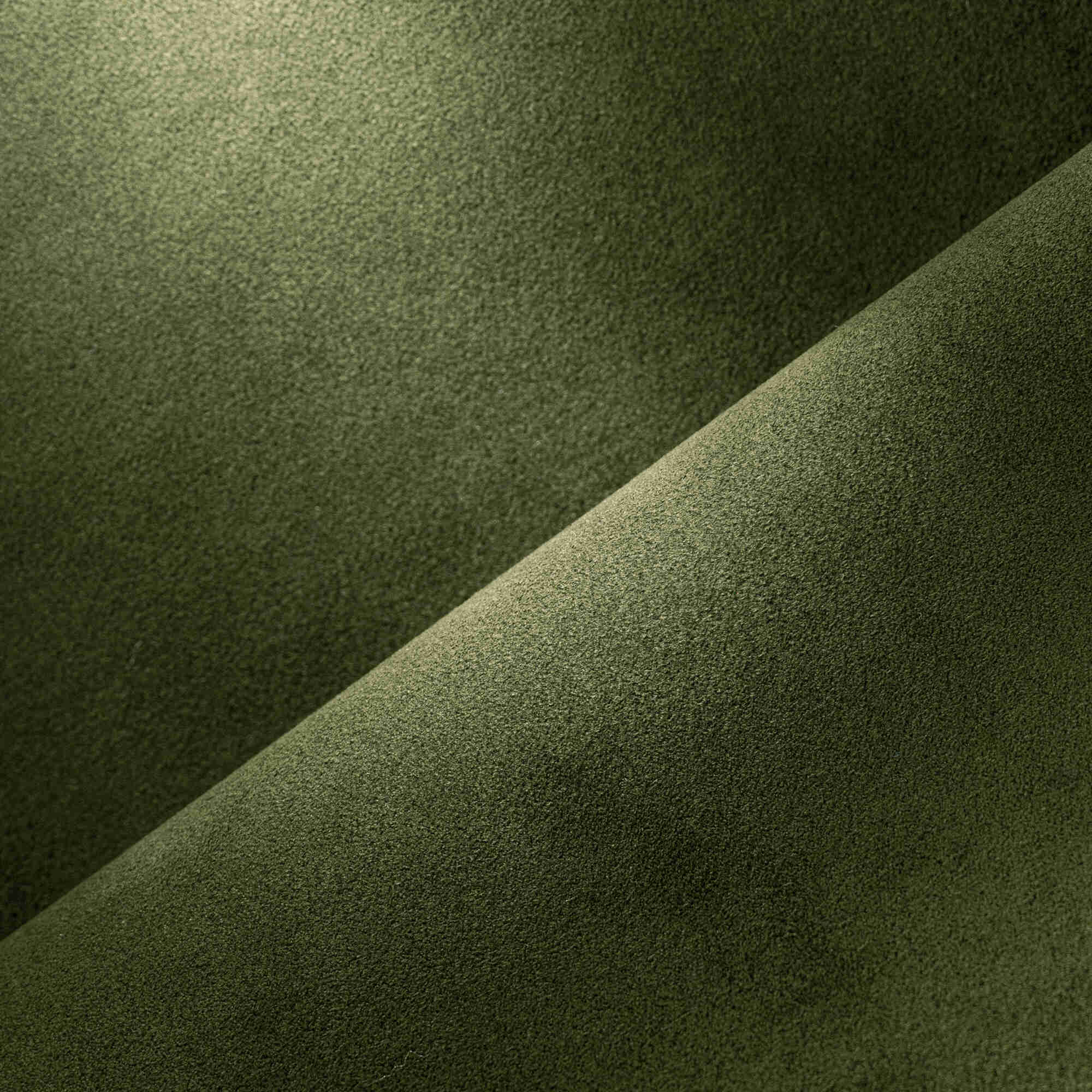Kiwi TOGO